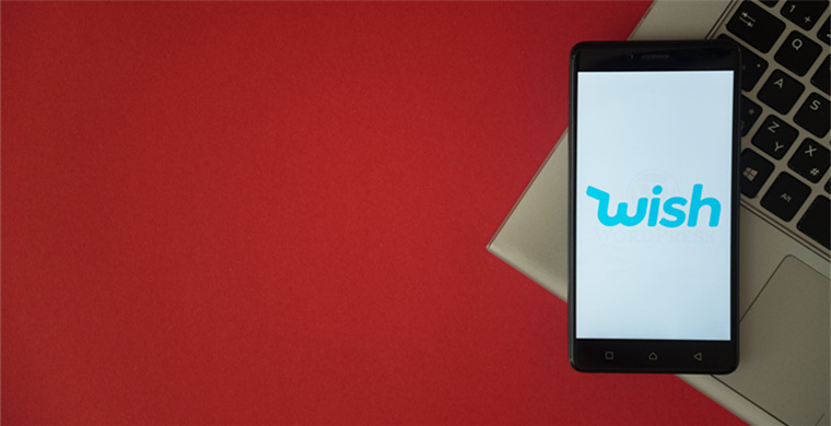 WS invalid number detection